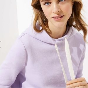 EUC LOFT Women’s X-Small Lavender Pullover Hoodie
